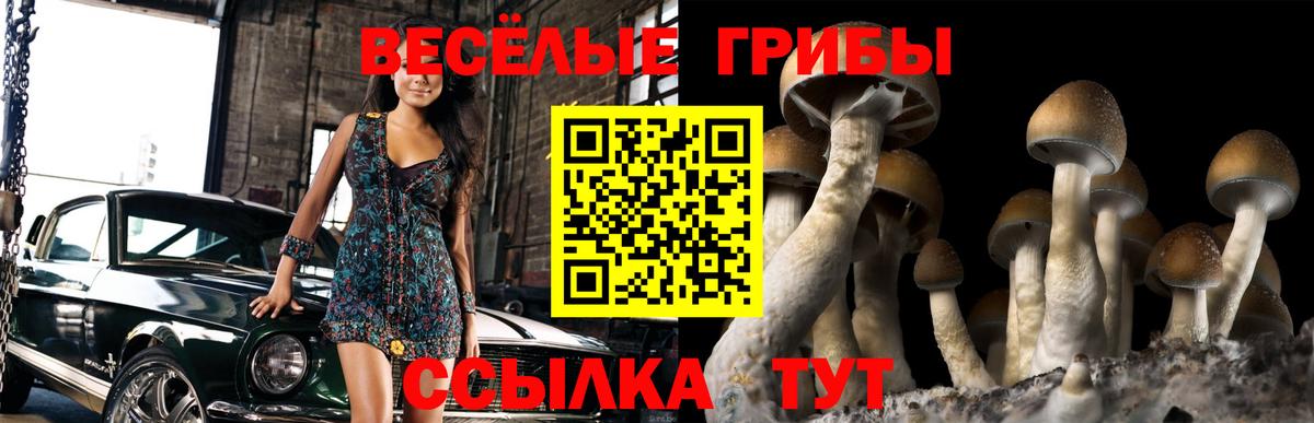 Галлюциногенные грибы ЛСД Донской