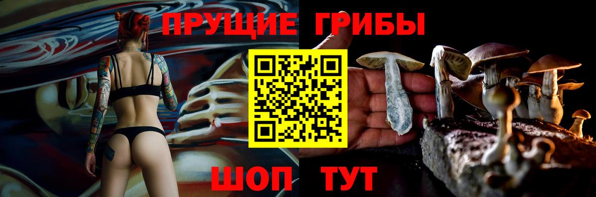 Псилоцибиновые грибы прущие грибы  Вход с VPN  Донской  Галлюциногенные грибы ЛСД 